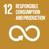 12 RESPONSIBLE CONSUMPTION AND PRODUCTION, SDG